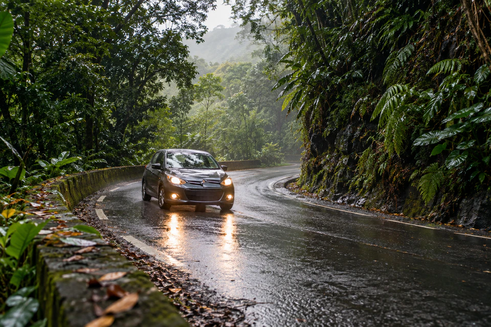 Comment bien choisir votre location de voiture en Guadeloupe ?
