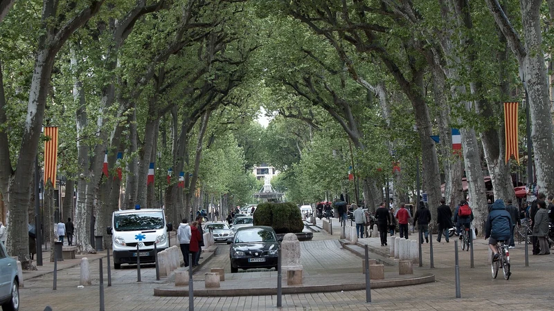 La Cortésine à Aix : bois public, bastide privée