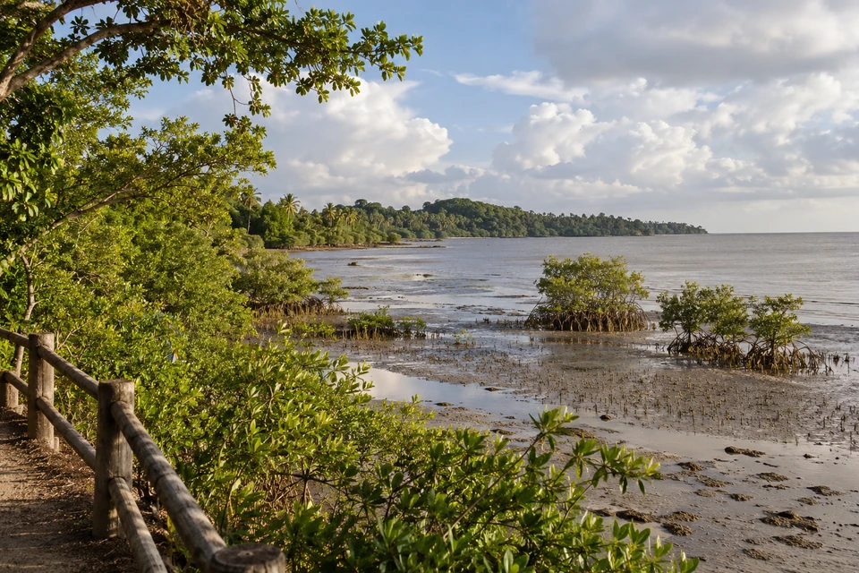 Tout savoir sur l’heure à Kourou et le décalage en 2026
