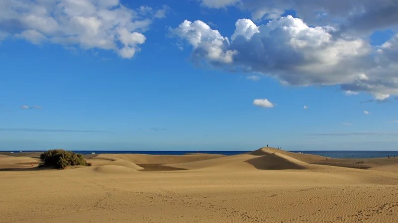 Grande Canarie : 10 choses à faire et à voir