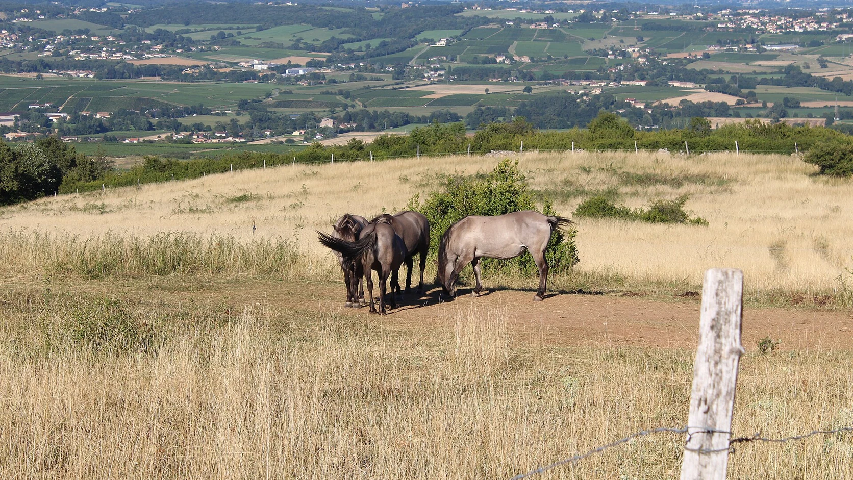 Parc de l’Auxois : Découverte et divertissement au cœur de la nature