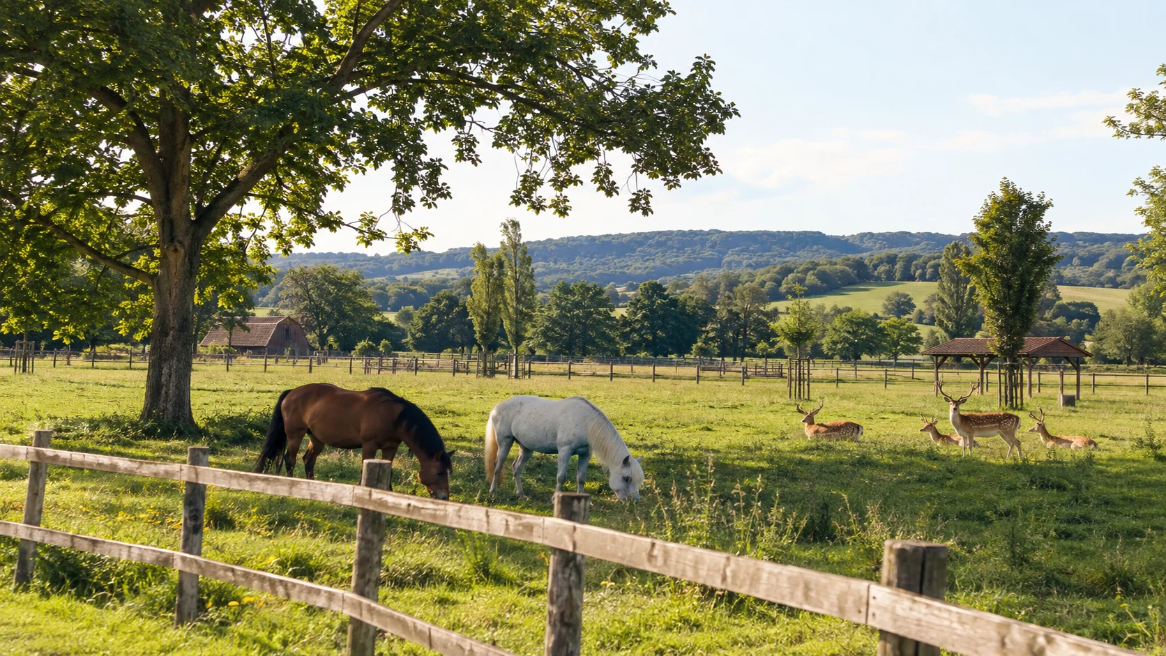 Parc de l’Auxois : Découverte et divertissement au cœur de la nature