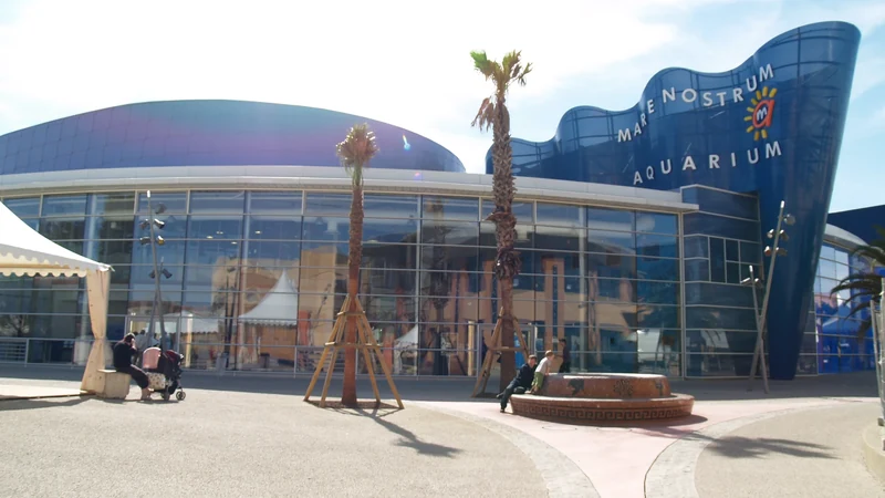 Planet Ocean Montpellier : aquarium, horaires, visite