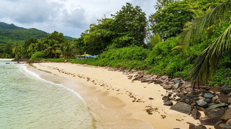 Seychelles avec un budget serré : vols, bus, guesthouses