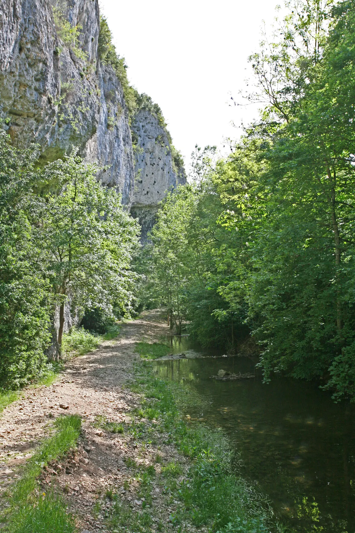 La Nesque à la sortie du plan d’eau de Monieux, à l’entrée des gorges