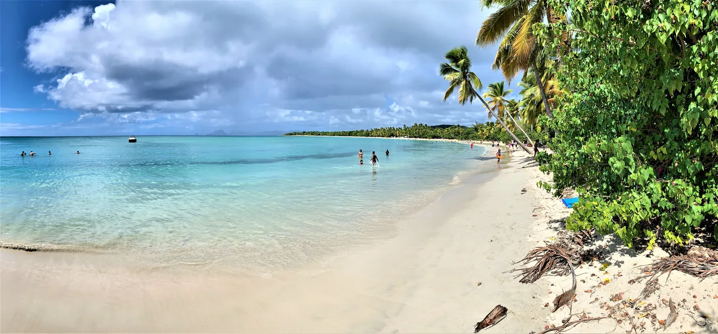 La plage des Salines au sud de la Martinique en pleine journée