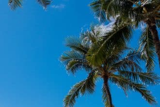 Hawaï