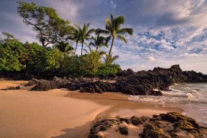 Tourisme responsable Maui