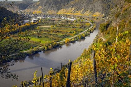 visiter Beaujolais vins
