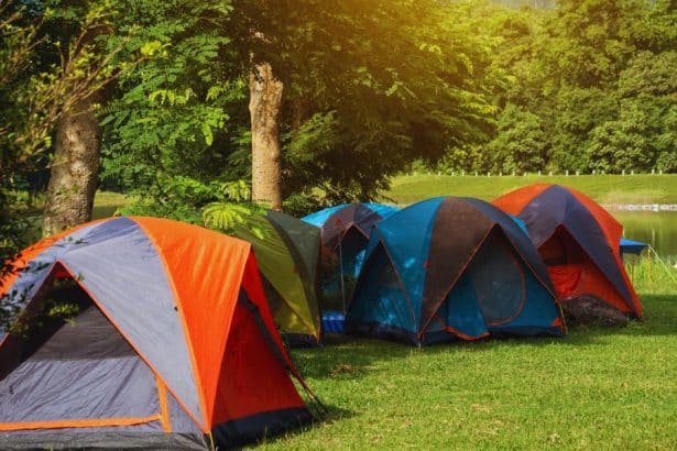 camping debutant premiere experience