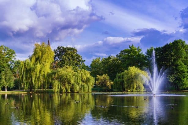 une-vue-aerienne-dun-parc-aquatique-en-allemagne-offrant-une-experience-inoubliable-de-plaisir-et-de-detente-dans-une-atmosphere-aquatique-vibrante
