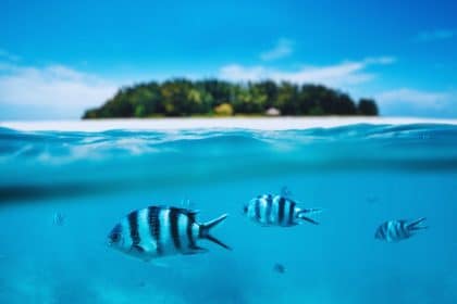 une-vue-paradisiaque-de-lile-de-zanzibar-avec-ses-plages-de-sable-blanc-ses-eaux-turquoise-et-ses-palmiers-luxuriants-decouvrez-les-incontournables-de-cette-ile-magnifique-des-sites-historiqu