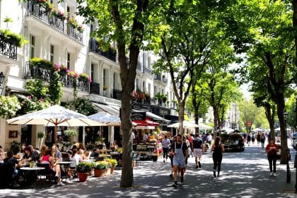Une journée au cœur du quartier la Muette : entre nature, gastronomie et architecture