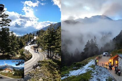 Camera Vizzavona : webcam routière et hébergements en Corse