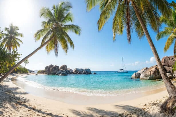 Plage de sable blanc avec cocotiers, rochers et eau turquoise, un catamaran au loin sous un ciel bleu ensoleillé.