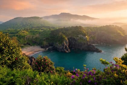 Vue panoramique d'une crique verdoyante avec falaises volcaniques et fleurs au premier plan sous un ciel au crépuscule.
