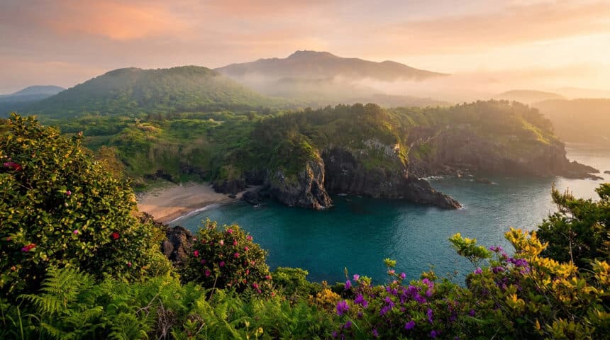 Vue panoramique d'une crique verdoyante avec falaises volcaniques et fleurs au premier plan sous un ciel au crépuscule.