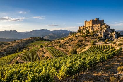 Un château médiéval en pierre surplombant des vignobles vallonnés sous un ciel bleu ensoleillé dans les Corbières.