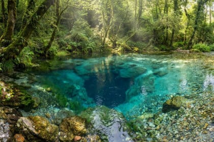 Vue panoramique de la source Syri i Kaltër, un bassin d'eau bleu turquoise profond entouré d'une forêt luxuriante.