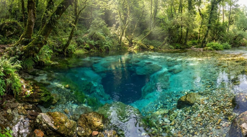 Vue panoramique de la source Syri i Kaltër, un bassin d'eau bleu turquoise profond entouré d'une forêt luxuriante.